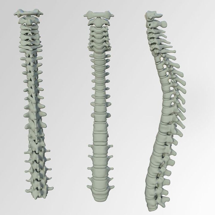 Schéma de colonne
